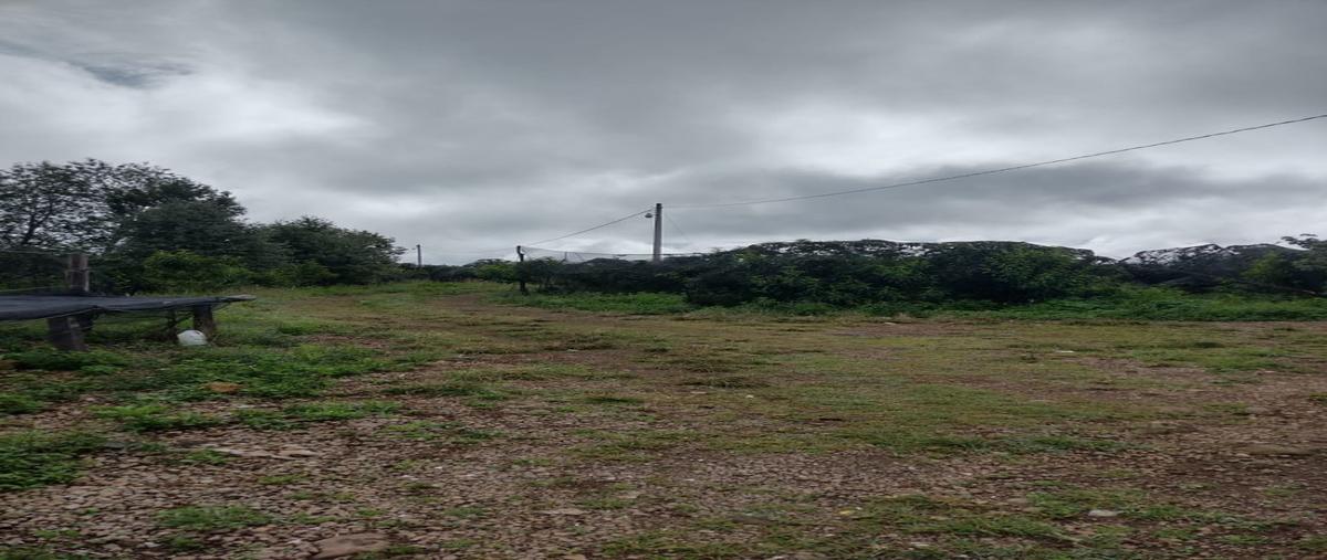 Foto de terreno habitacional en venta en  , guadalupe de tayopa, yécora, sonora, 26146352 No. 04