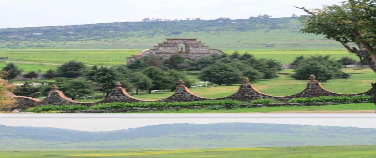 Foto de rancho en venta en  , guadalupe el astillero, huichapan, hidalgo, 0 No. 03