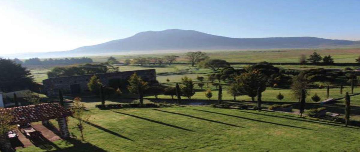 Foto de rancho en venta en  , guadalupe el astillero, huichapan, hidalgo, 0 No. 04