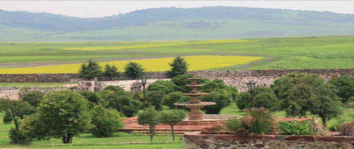Foto de rancho en venta en  , guadalupe el astillero, huichapan, hidalgo, 0 No. 05