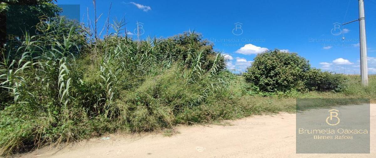 Foto de terreno habitacional en venta en  , guadalupe etla, guadalupe etla, oaxaca, 28710829 No. 04
