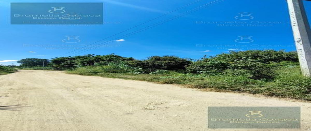 Foto de terreno habitacional en venta en  , guadalupe etla, guadalupe etla, oaxaca, 28710829 No. 05
