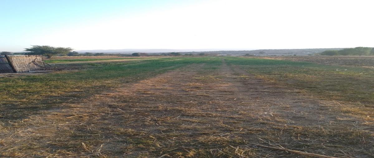 Foto de terreno habitacional en , guadalupe etla, guadalupe etla, oaxaca, 0 foto 01 Foto de terreno habitacional en venta en , guadalupe etla, guadalupe etla, oaxaca, 0 No. 01