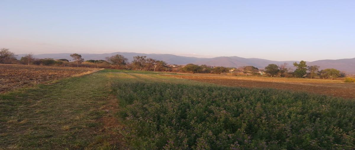 Foto de terreno habitacional en , guadalupe etla, guadalupe etla, oaxaca, 0 foto 03 Foto de terreno habitacional en venta en , guadalupe etla, guadalupe etla, oaxaca, 0 No. 03