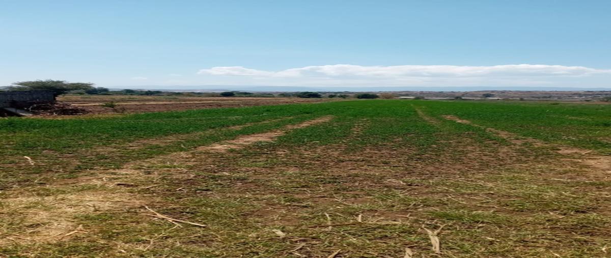 Foto de terreno habitacional en , guadalupe etla, guadalupe etla, oaxaca, 0 foto 05 Foto de terreno habitacional en venta en , guadalupe etla, guadalupe etla, oaxaca, 0 No. 05