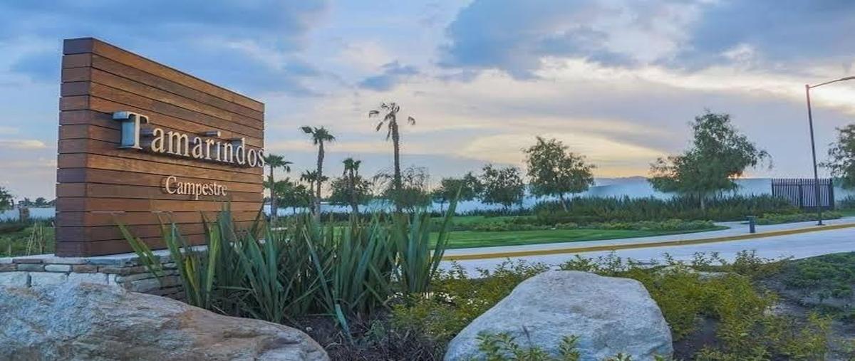 Foto de casa en venta en guadalupe gonzalez , tamarindos, aguascalientes, aguascalientes, 0 No. 06