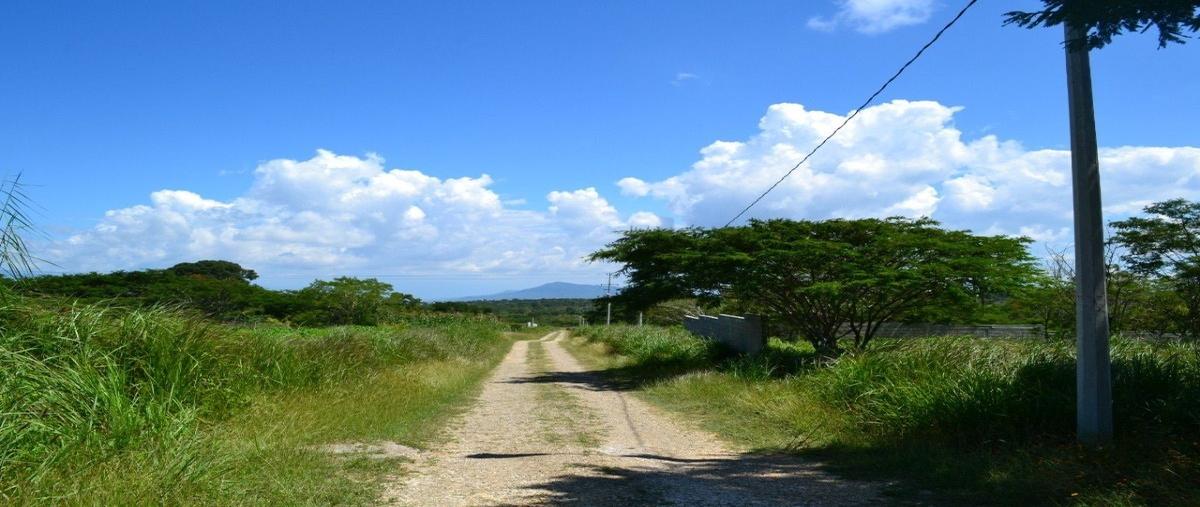Foto de terreno habitacional en venta en  , guadalupe oriente, berriozábal, chiapas, 26000336 No. 04