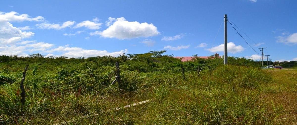 Foto de terreno habitacional en venta en  , guadalupe oriente, berriozábal, chiapas, 26000336 No. 05