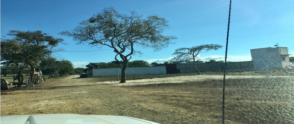 Foto de terreno habitacional en venta en  , guadalupe oriente, berriozábal, chiapas, 0 No. 03