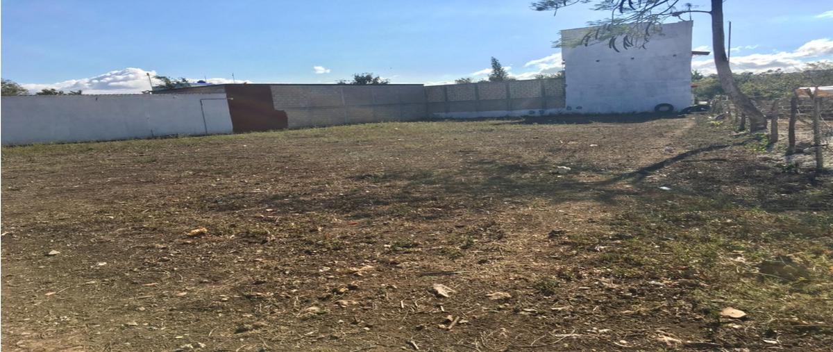 Foto de terreno habitacional en venta en  , guadalupe oriente, berriozábal, chiapas, 0 No. 04
