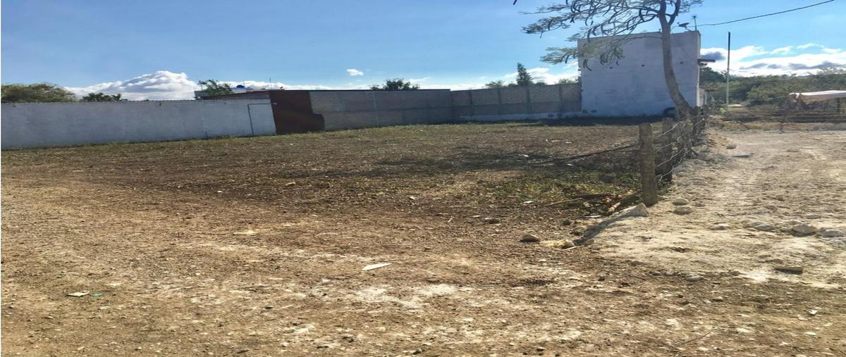 Foto de terreno habitacional en venta en  , guadalupe oriente, berriozábal, chiapas, 0 No. 05