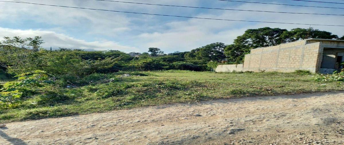 Foto de terreno habitacional en , guadalupe oriente, berriozábal, chiapas, 30298084 foto 01 Foto de terreno habitacional en venta en , guadalupe oriente, berriozábal, chiapas, 30298084 No. 01