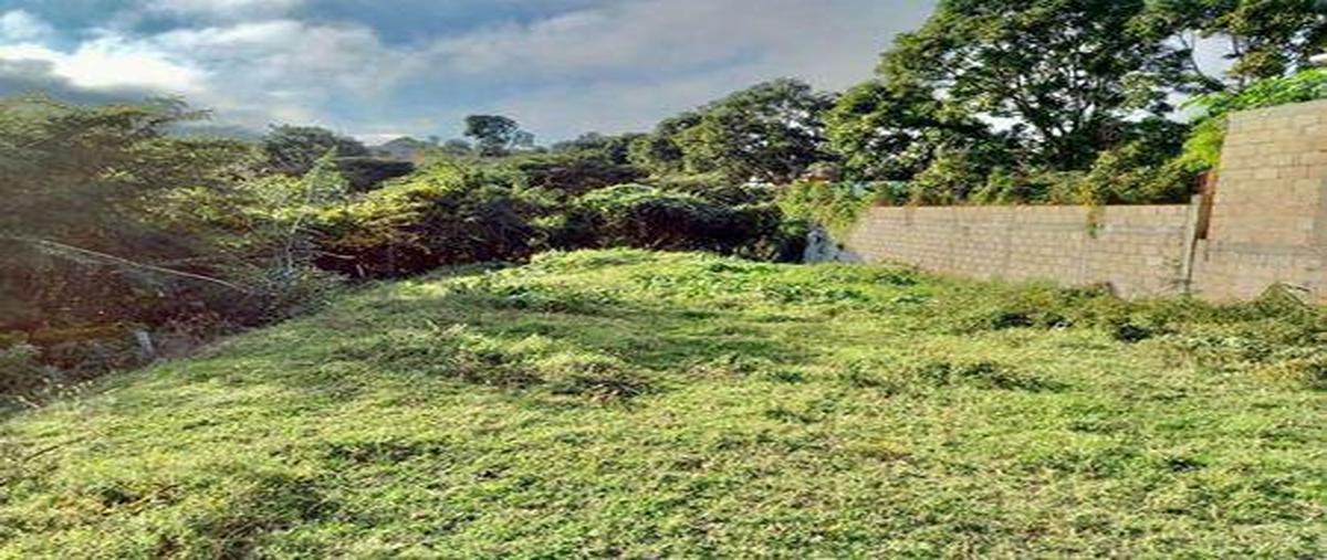 Foto de terreno habitacional en , guadalupe oriente, berriozábal, chiapas, 30298084 foto 03 Foto de terreno habitacional en venta en , guadalupe oriente, berriozábal, chiapas, 30298084 No. 03