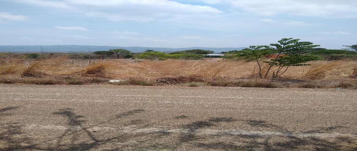 Foto de terreno habitacional en guadalupe poniente whi297265, guadalupe poniente, berriozábal, chiapas, 0 foto 01 Foto de terreno habitacional en venta en guadalupe poniente whi297265, guadalupe poniente, berriozábal, chiapas, 0 No. 01