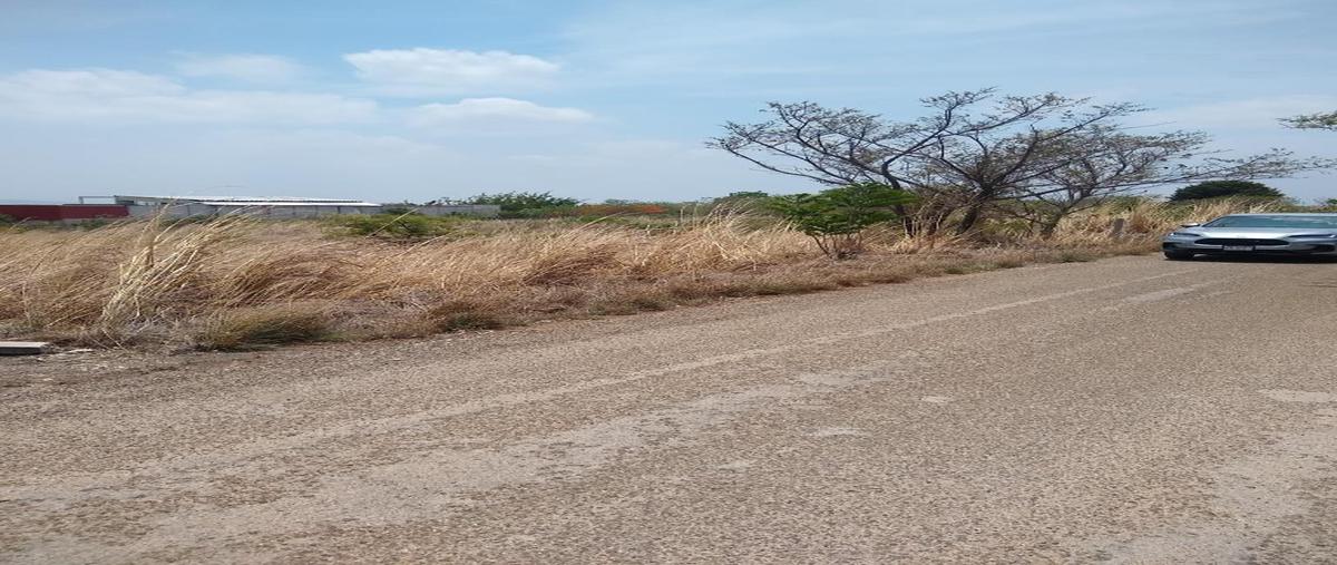 Foto de terreno habitacional en guadalupe poniente whi297265, guadalupe poniente, berriozábal, chiapas, 0 foto 04 Foto de terreno habitacional en venta en guadalupe poniente whi297265, guadalupe poniente, berriozábal, chiapas, 0 No. 04