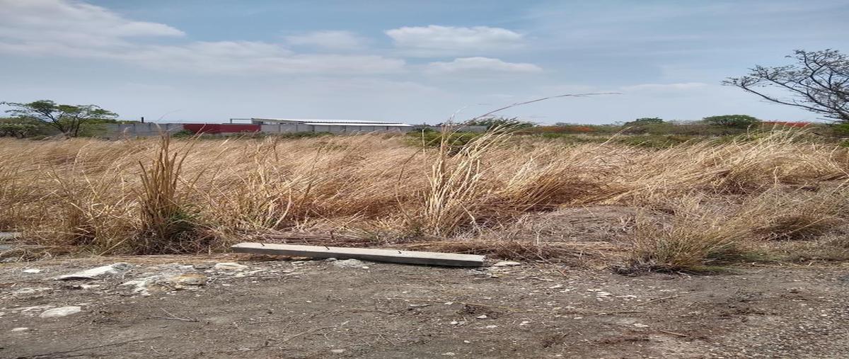 Foto de terreno habitacional en guadalupe poniente whi297265, guadalupe poniente, berriozábal, chiapas, 0 foto 05 Foto de terreno habitacional en venta en guadalupe poniente whi297265, guadalupe poniente, berriozábal, chiapas, 0 No. 05