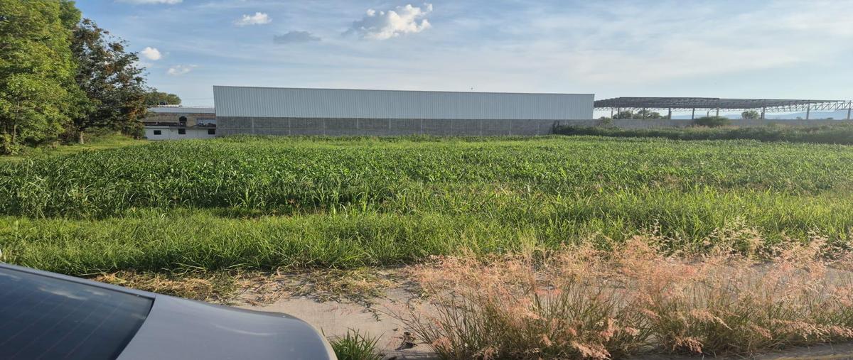 Foto de terreno habitacional en , guadalupe, san francisco del rincón, guanajuato, 30195923 foto 01 Foto de terreno habitacional en venta en , guadalupe, san francisco del rincón, guanajuato, 30195923 No. 01