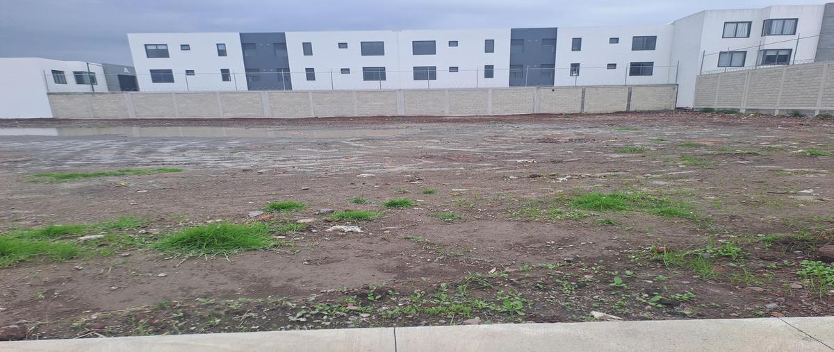 Foto de terreno habitacional en venta en  , guadalupe, san mateo atenco, méxico, 0 No. 04