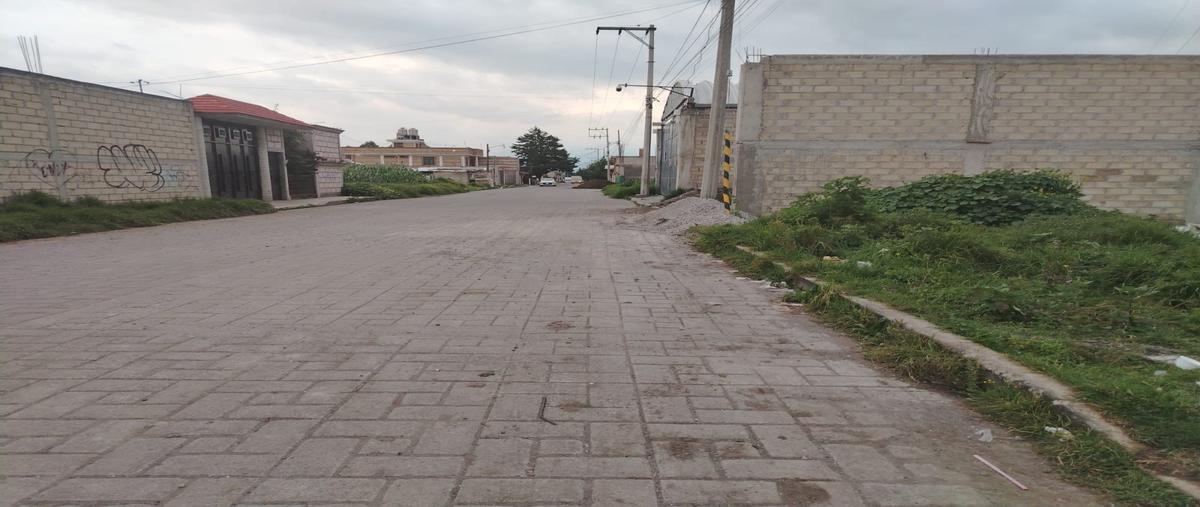 Foto de terreno habitacional en venta en  , guadalupe, san mateo atenco, méxico, 0 No. 03