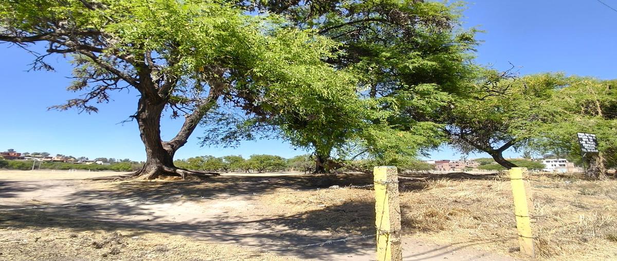 Foto de terreno habitacional en venta en  , guadalupe, san miguel de allende, guanajuato, 0 No. 04