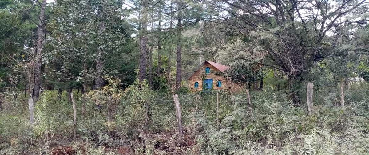 Foto de terreno habitacional en , guadalupe, teopisca, chiapas, 26658139 foto 02 Foto de terreno habitacional en venta en , guadalupe, teopisca, chiapas, 26658139 No. 02