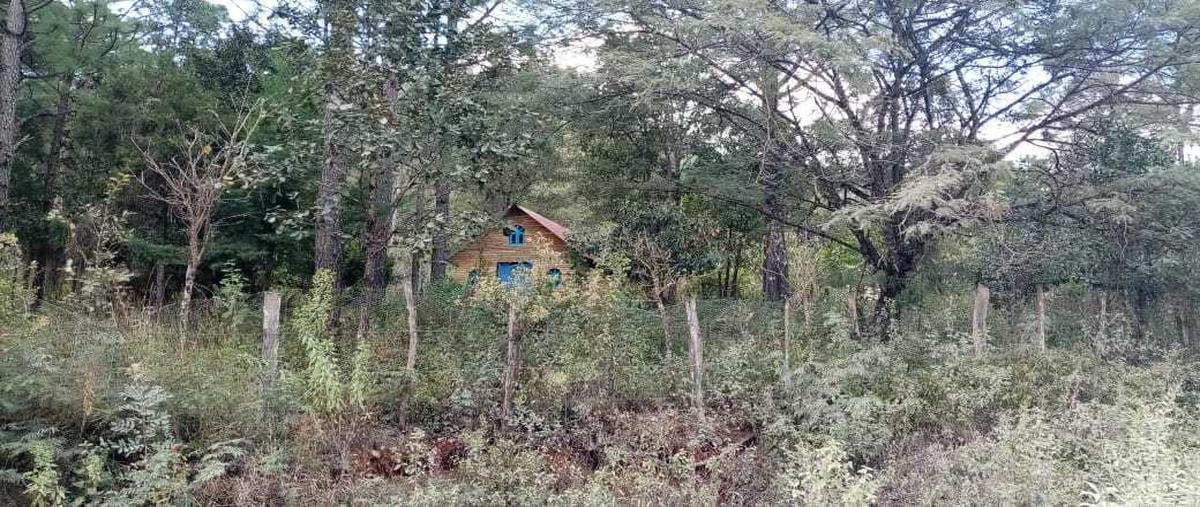 Foto de terreno habitacional en , guadalupe, teopisca, chiapas, 26658139 foto 03 Foto de terreno habitacional en venta en , guadalupe, teopisca, chiapas, 26658139 No. 03