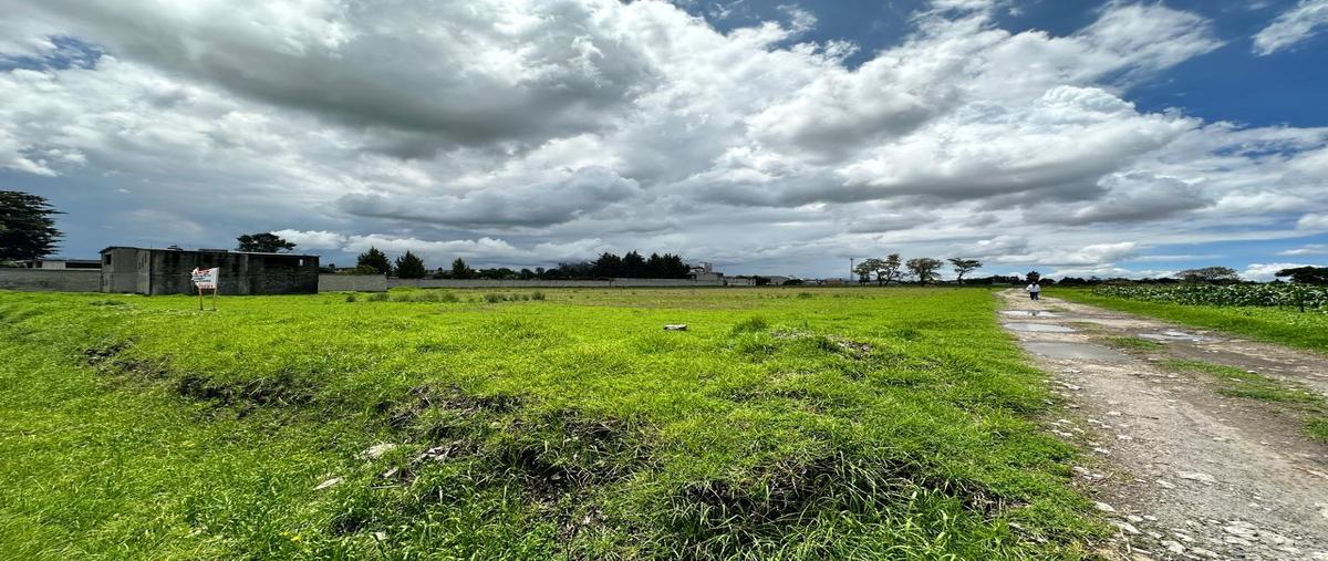 Foto de terreno habitacional en venta en  , guadalupe totoltepec, toluca, méxico, 0 No. 05