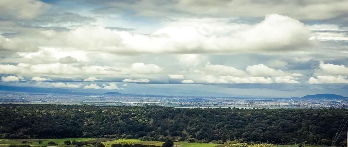 Foto de rancho en venta en  , guadalupe victoria, capulhuac, méxico, 26219260 No. 05