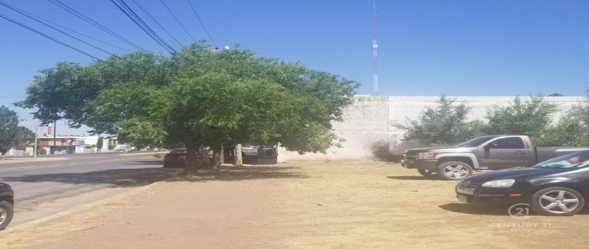 Foto de terreno habitacional en venta en  , guadalupe victoria, cuauhtémoc, chihuahua, 24889031 No. 05