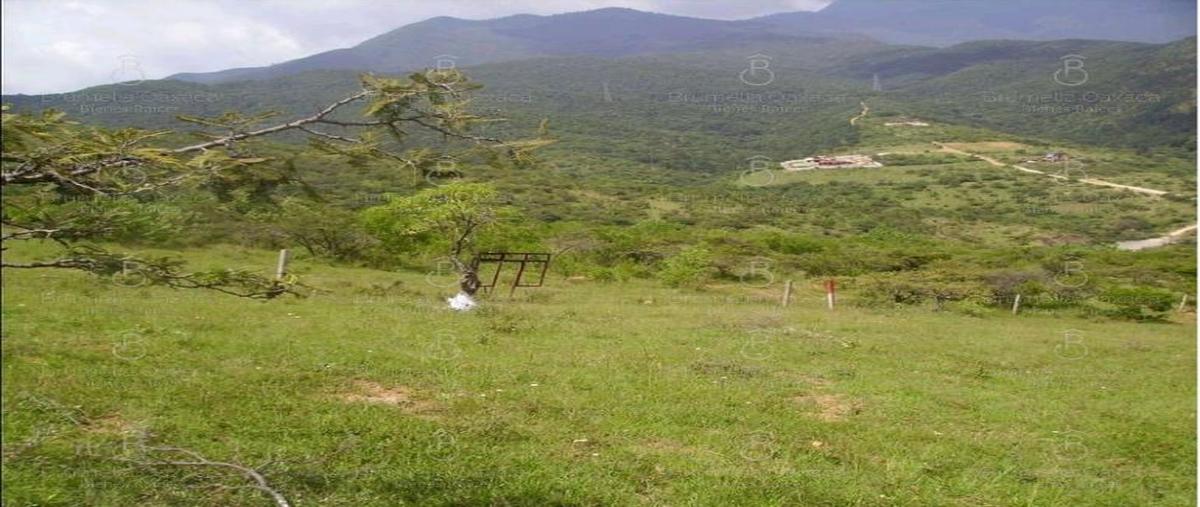 Foto de terreno habitacional en venta en  , guadalupe victoria, oaxaca de juárez, oaxaca, 28740835 No. 01