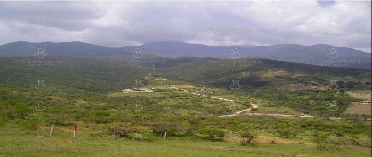 Foto de terreno habitacional en venta en  , guadalupe victoria, oaxaca de juárez, oaxaca, 28740835 No. 02