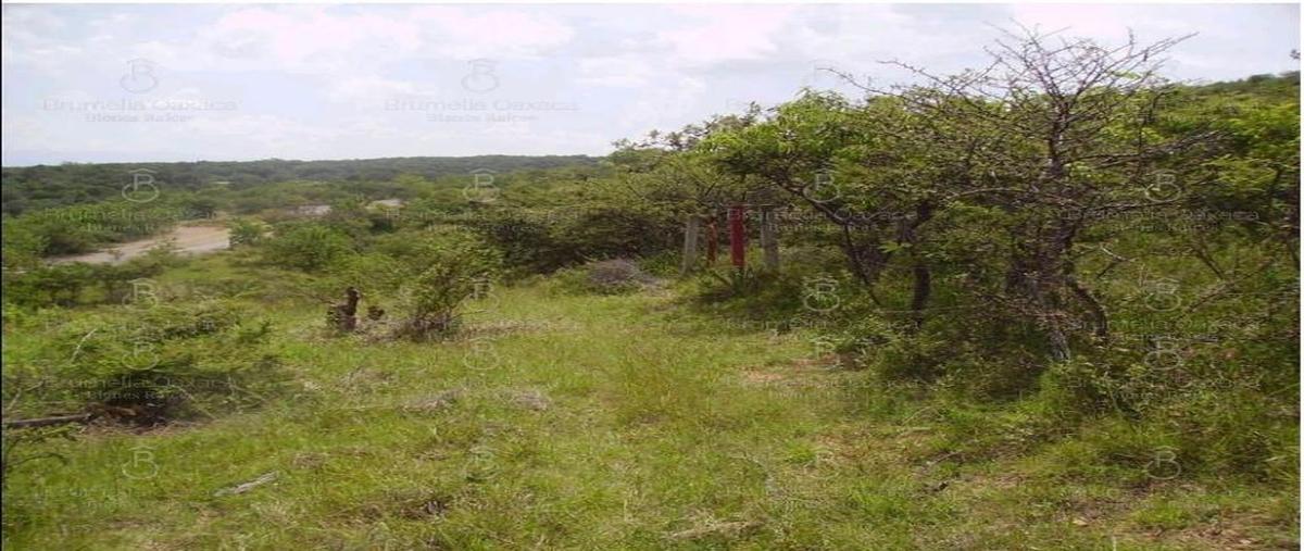 Foto de terreno habitacional en venta en  , guadalupe victoria, oaxaca de juárez, oaxaca, 28740835 No. 05