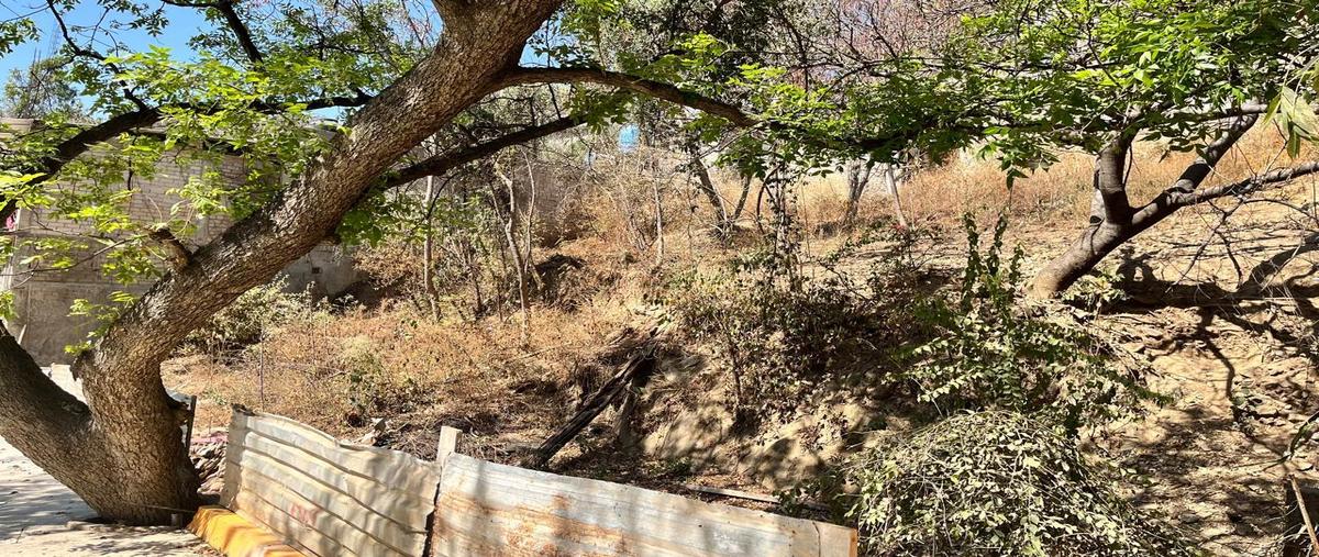 Foto de terreno habitacional en venta en  , guadalupe victoria, oaxaca de juárez, oaxaca, 29927430 No. 02