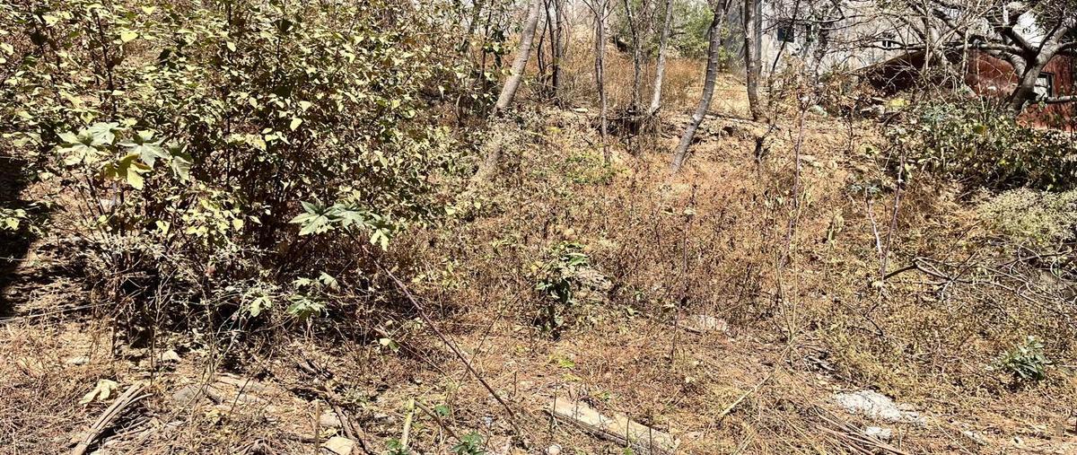 Foto de terreno habitacional en venta en  , guadalupe victoria, oaxaca de juárez, oaxaca, 29927430 No. 04