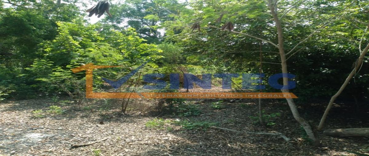 Foto de terreno habitacional en venta en  , guadalupe victoria, poza rica de hidalgo, veracruz de ignacio de la llave, 0 No. 04