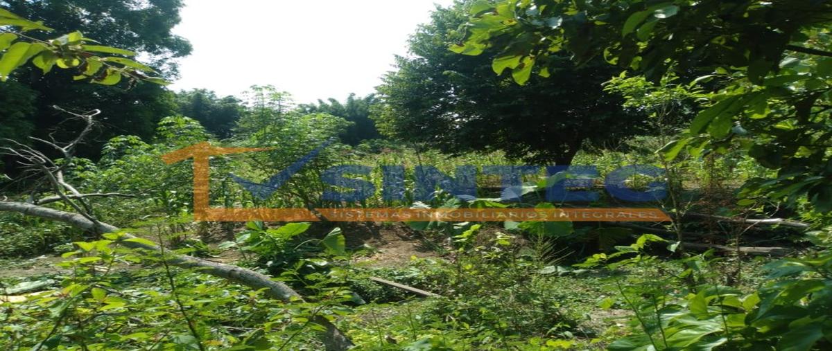 Foto de terreno habitacional en venta en  , guadalupe victoria, poza rica de hidalgo, veracruz de ignacio de la llave, 0 No. 05