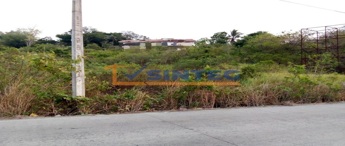 Foto de terreno habitacional en venta en  , guadalupe victoria, poza rica de hidalgo, veracruz de ignacio de la llave, 0 No. 04