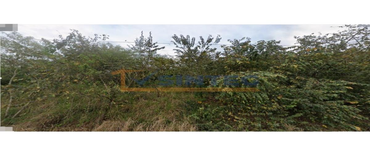 Foto de terreno habitacional en venta en  , guadalupe victoria, poza rica de hidalgo, veracruz de ignacio de la llave, 0 No. 04