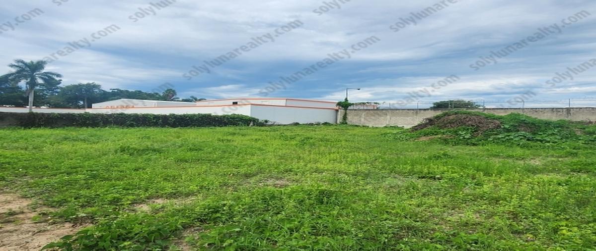 Foto de local en renta en  , guadalupe victoria, puerto vallarta, jalisco, 27230814 No. 04