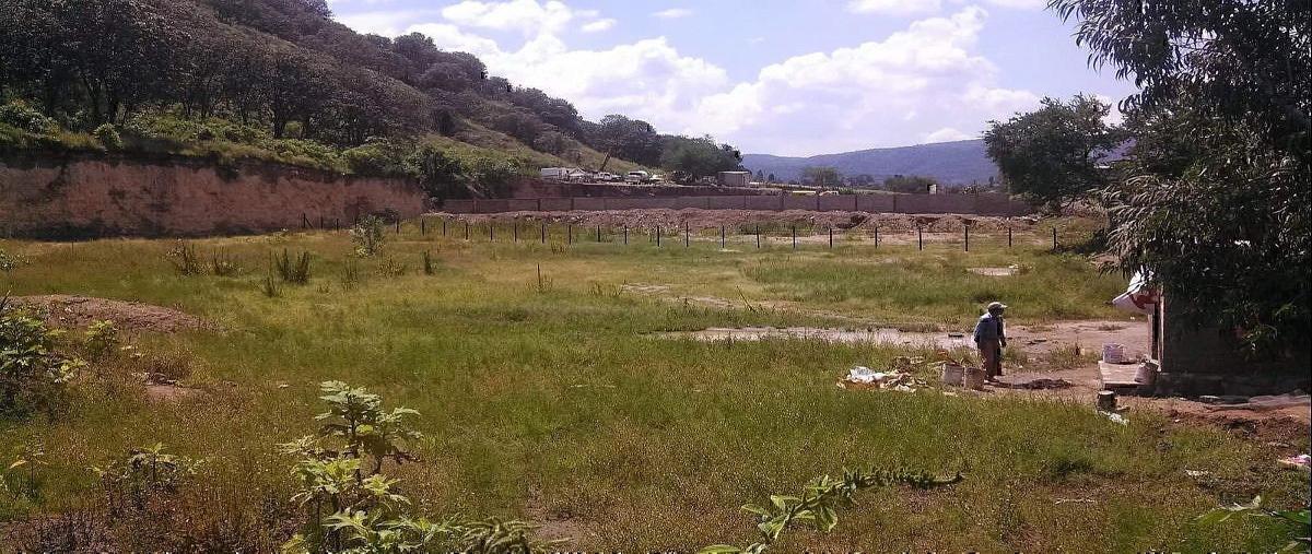 Foto de terreno habitacional en venta en guadalupe victoria , santa ana tepetitlán, zapopan, jalisco, 0 No. 03