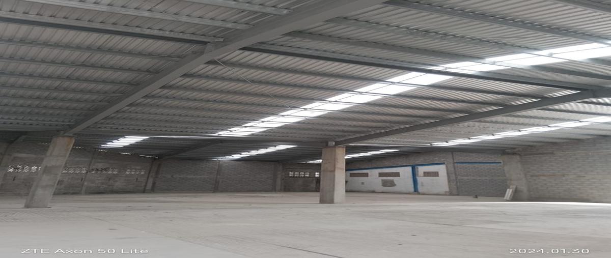 Foto de bodega en renta en  , guadalupe victoria, tampico, tamaulipas, 0 No. 04