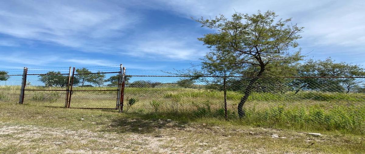 Foto de terreno habitacional en venta en  , guadalupe victoria valsequillo, puebla, puebla, 27074178 No. 03