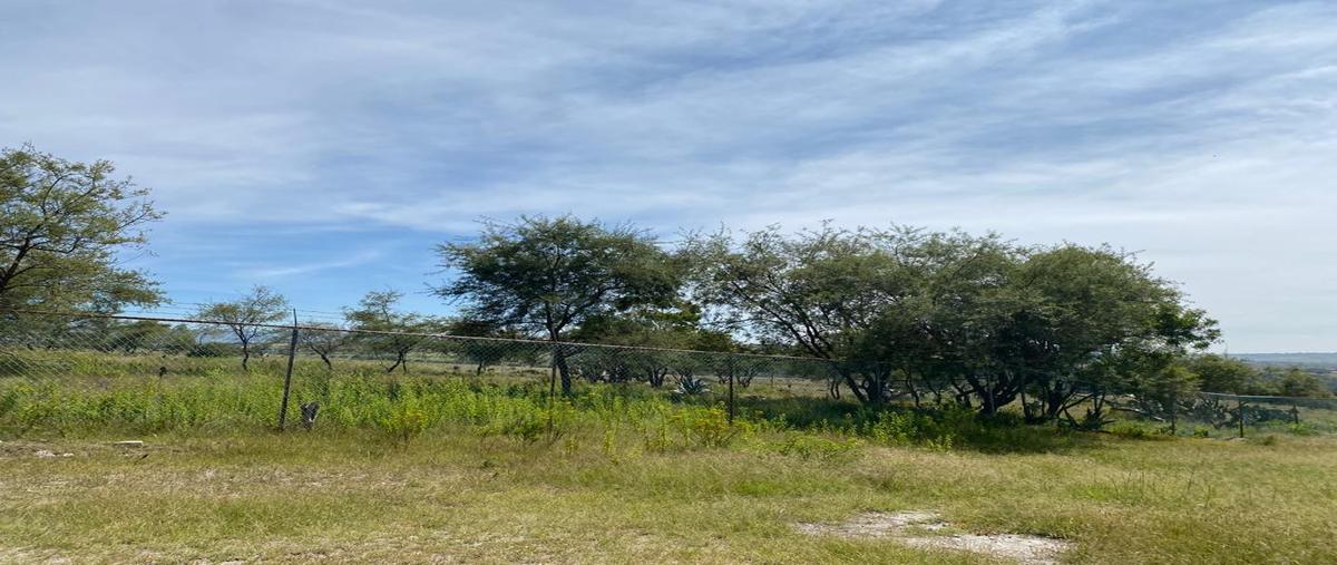 Foto de terreno habitacional en venta en  , guadalupe victoria valsequillo, puebla, puebla, 27074178 No. 04