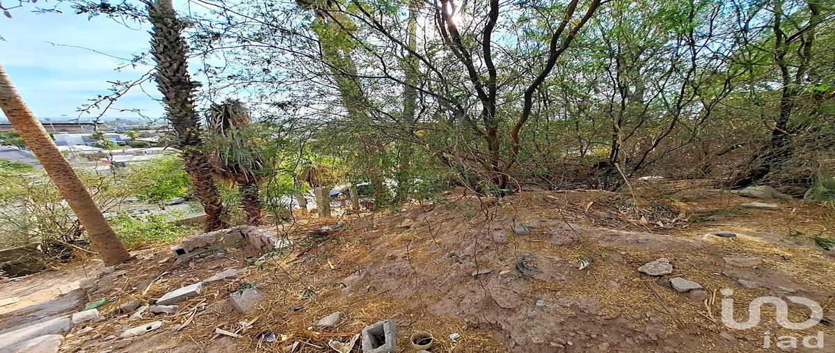 Foto de terreno habitacional en venta en guadalupe victoria y marcelo rubio , colina de la cruz, la paz, baja california sur, 0 No. 04
