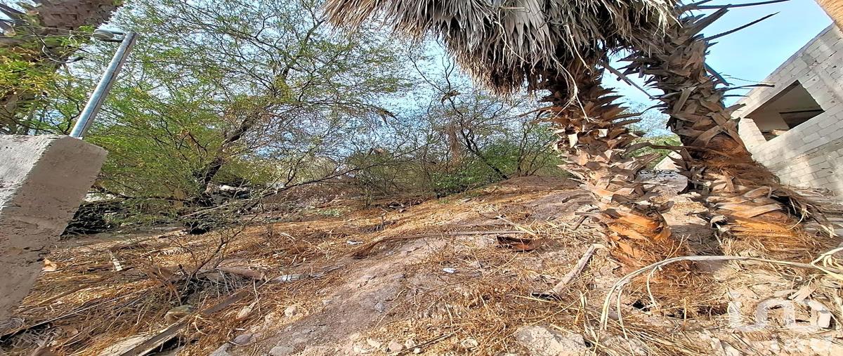 Foto de terreno habitacional en venta en guadalupe victoria y marcelo rubio , colina de la cruz, la paz, baja california sur, 0 No. 05