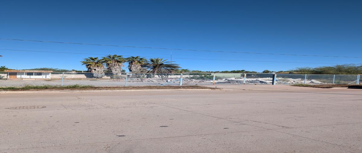 Foto de terreno habitacional en venta en guadalupe victoria , zona centro, comondú, baja california sur, 0 No. 05