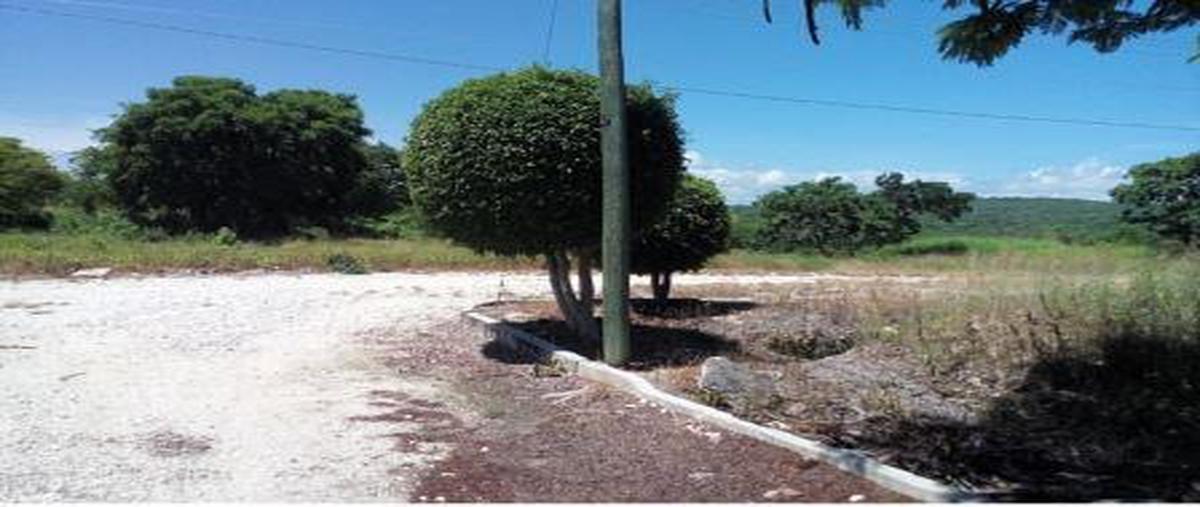 Foto de terreno habitacional en guadalupe whi274606, guadalupe, tuxtla gutiérrez, chiapas, 23638197 foto 02 Foto de terreno habitacional en venta en guadalupe whi274606, guadalupe, tuxtla gutiérrez, chiapas, 23638197 No. 02