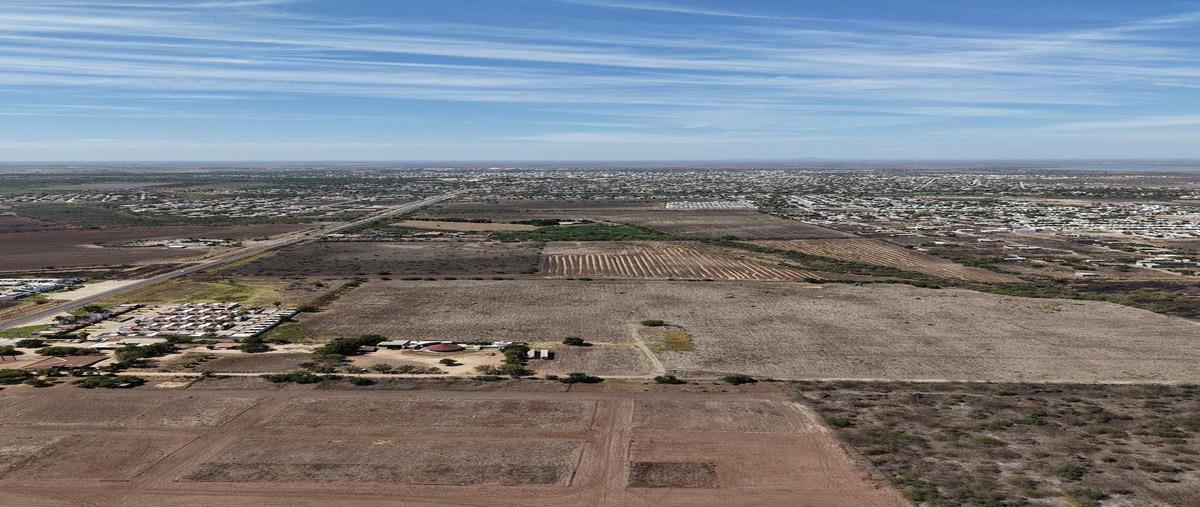 Foto de terreno habitacional en venta en guamuchil , los mochis (los mochis), ahome, sinaloa, 0 No. 03