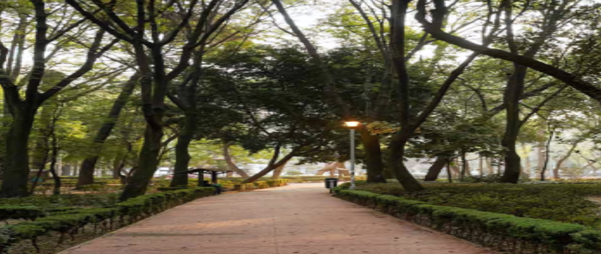 Foto de departamento en guanajuato , roma norte, cuauhtémoc, df / cdmx, 29529383 foto 03 Foto de departamento en venta en guanajuato , roma norte, cuauhtémoc, df / cdmx, 29529383 No. 03