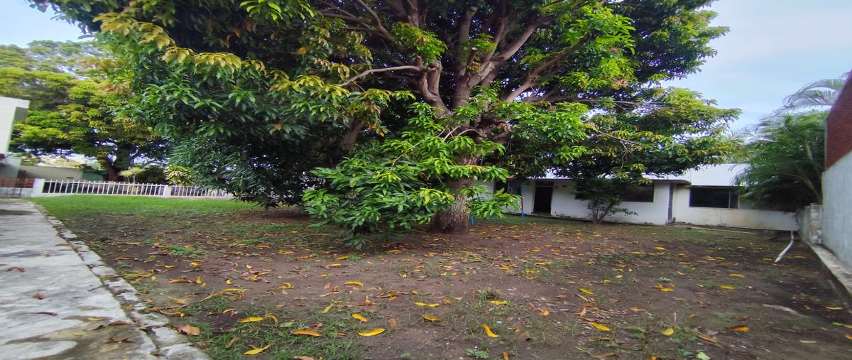 Foto de terreno habitacional en venta en guanajuato , unidad nacional, ciudad madero, tamaulipas, 0 No. 04